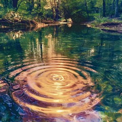 Fluss der Zeit.m4a
