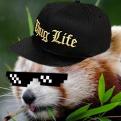 Oceaan - Racoon (A.J. Drill Remix)