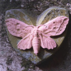 lady bug w/ headspace