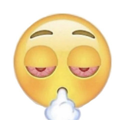 ok dam(prod.burntblade)