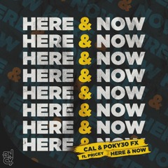 Cal X Pokyeo FX ft. MC Pricey - Here & Now