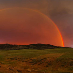 Rainbow