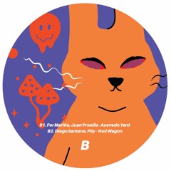 Diego Santana, Pily - Yoni Wagon [RBE001.01]