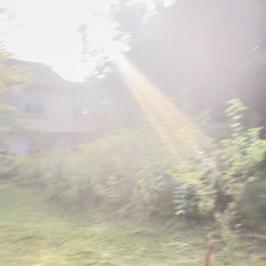 Growth -Festival-  24/08/24