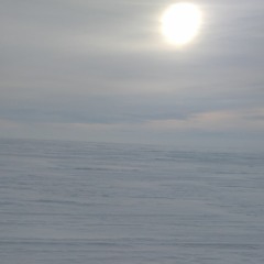 1  -Tsvetochnyy Blues