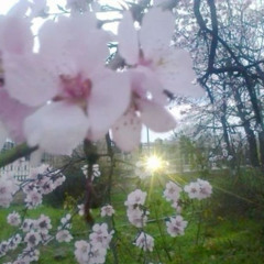 Ethereal_