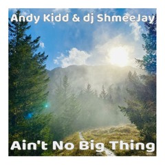 Andy Kidd & dj ShmeeJay - Ain't No Big Thing
