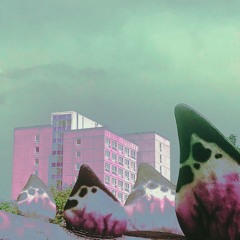 mix it like a lynzki