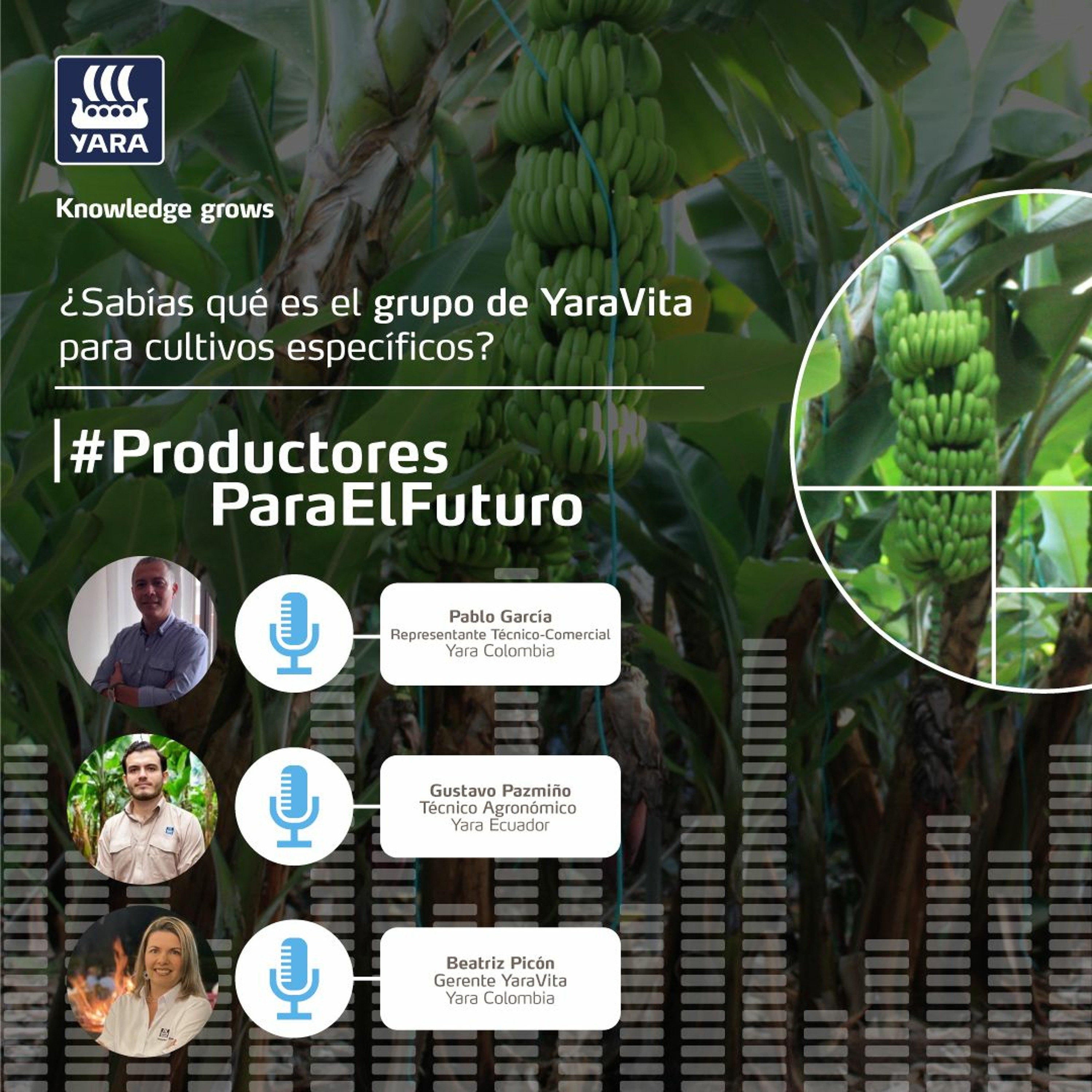 Productores Para El Futuro