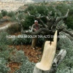 N.O#28 - MIX - Era mi dolor tan alto