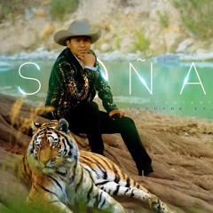 Juan José - Mi Amor (Remote Mixing) (2022)