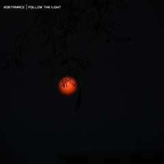Follow the Light