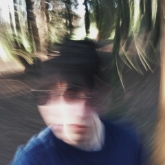 Swim and Sleep (Like a Shark)