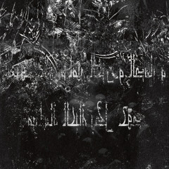 DISTKICK - Neural Noir