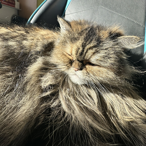 inna - sun is up (sped up)