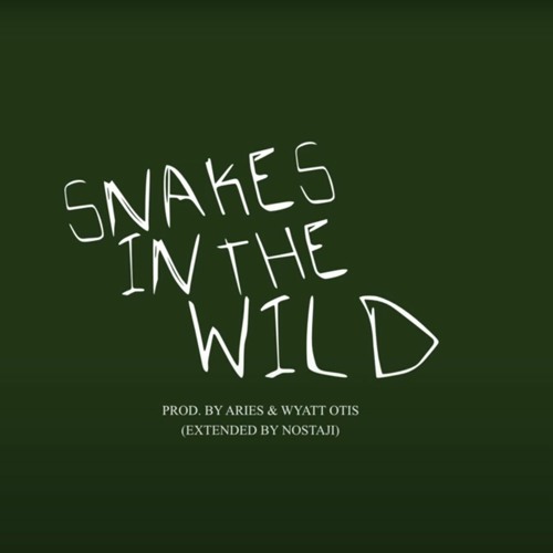 Aries - SNAKE EYES [Extended]