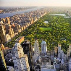 Starters Central Park