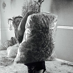 WEAKNESS REMIX FEAT. ADIOS