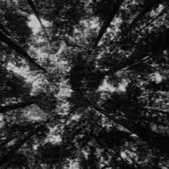 Under The Trees, Part 1