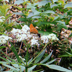 leben > hinterfragen
