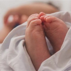 رباه بلطفك - بدون موسيقى - عمار صرصر