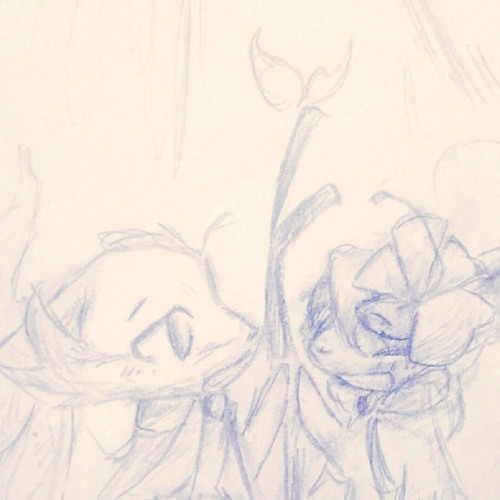 where should i go from here