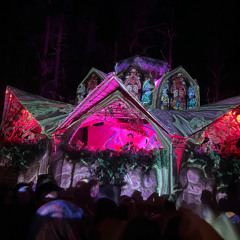 HABITAT (ARCADIAN FOREST) 2024 - LIVE SET