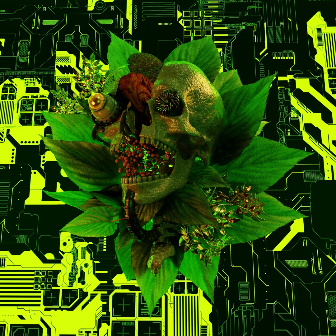Skavi Stream Lock The Groove (Skavi Remix) by Ginseng | Listen online for ...