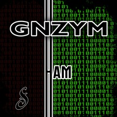 GNZYM - HAM (Free Download)
