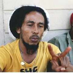 Bob Marley & The Wailers - Ambush In The Night