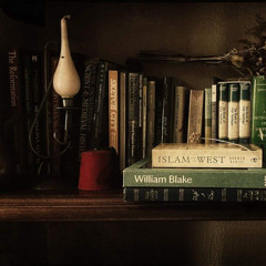 أخر عصفور يغادر من غرناطة _ نزار قباني بصوت نزار طه حاج أحمد