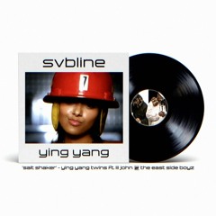 ying yang (Salt Shaker)[DOWNLOAD]
