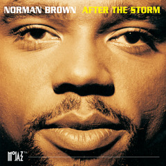 After The Storm (Album Version)