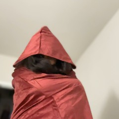 WindowshopFreestyle (Prod:brown)