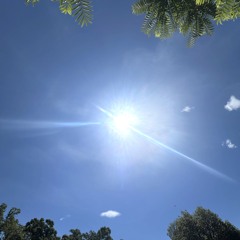 Sunburst
