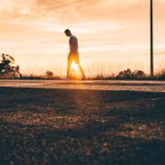 They'll Never Take Me Back Alive (Cover)