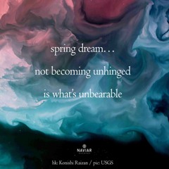 not becoming unhinged [naviarhaiku596]