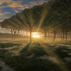 Horizon