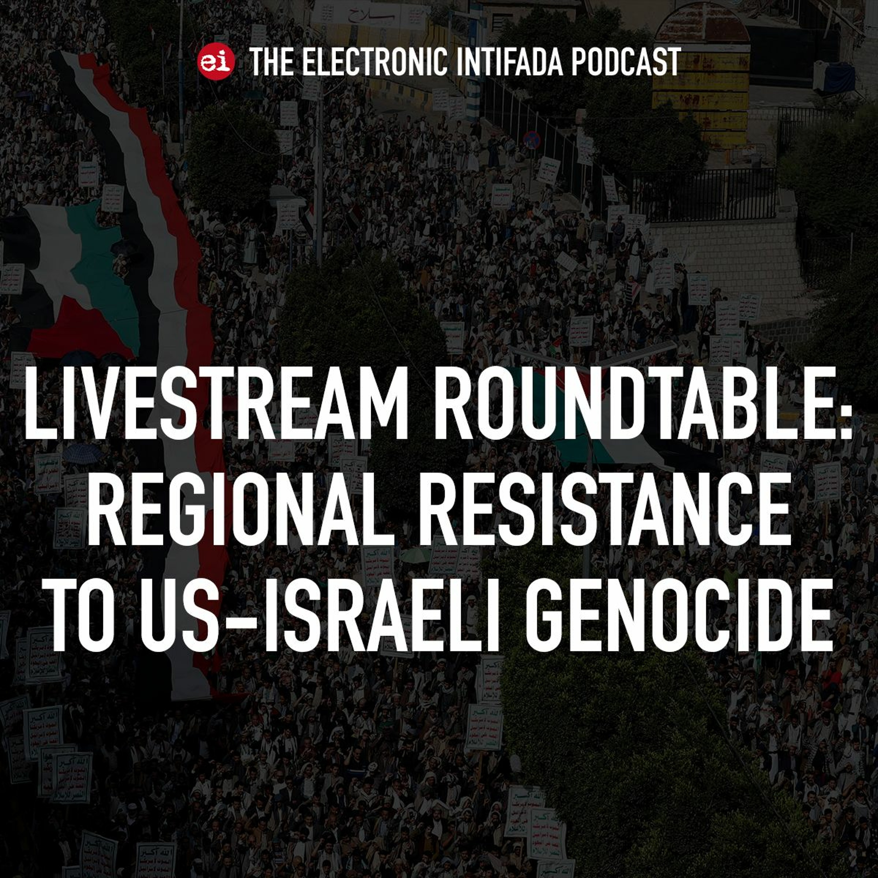 The Electronic Intifada