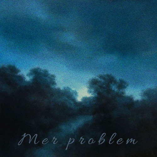 Mer Problem pr.  lidity