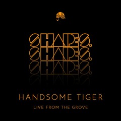 Shapes. Guest Mix 005 // Handsome Tiger
