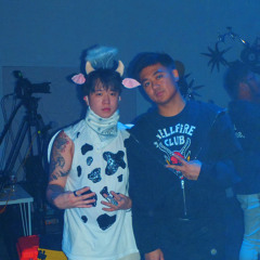 HVNSGATE SET (dairy b2b djv)