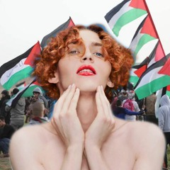 SOPHIE says Free Palestine