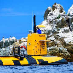 Review Special Price Yellow Semi-Submarine Tour Of Catalina Island From Avalon