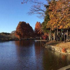 Lakeside holidays
