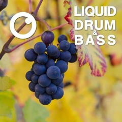 Favorite Liquid and Deep DNB Mixes