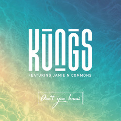 Don't You Know (DJ Licious Remix) [feat. Jamie N Commons]