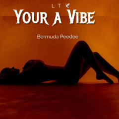 You a Vibe - Bermuda Peedee (Prod. By Wavy SZN)