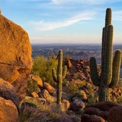Best Things To Do In Phoenix November 2025 Tours Review
