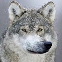 Drowning Droning (Scrapped V1)